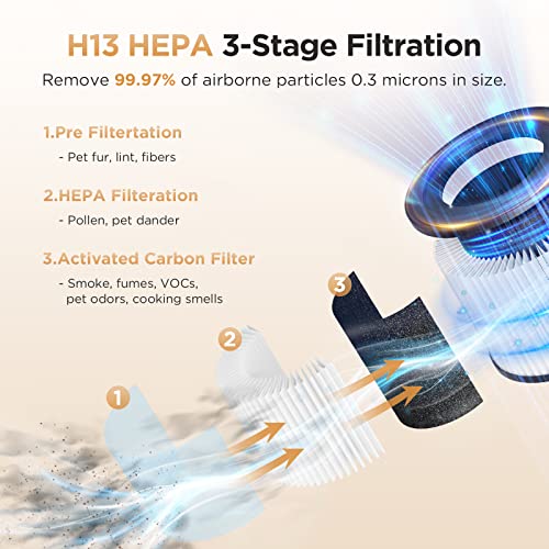 H13 True HEPA Air Purifier for Large Rooms with Aromatherapy & Child Lock