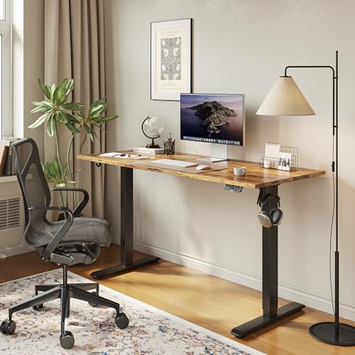 Electric Standing Desk 48 x 24 Inch, Height Adjustable Sit Stand Desk