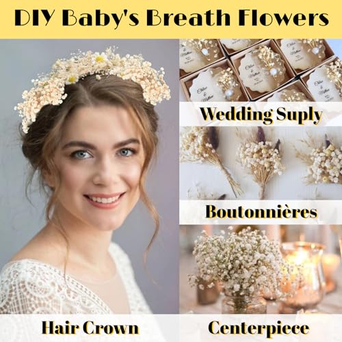 100+ Mini Dried Baby's Breath Flowers, 6-Inch Natural Gypsophila Stems