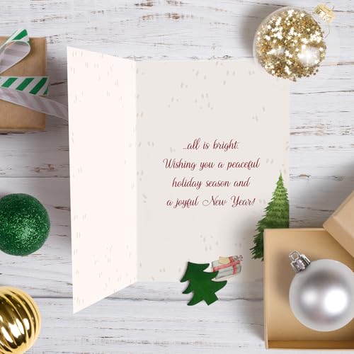 Oamiolek Funny Cat Christmas Card - Holiday Greeting for Cat Lovers, All Is Calm All Is Bright - Cat Variation