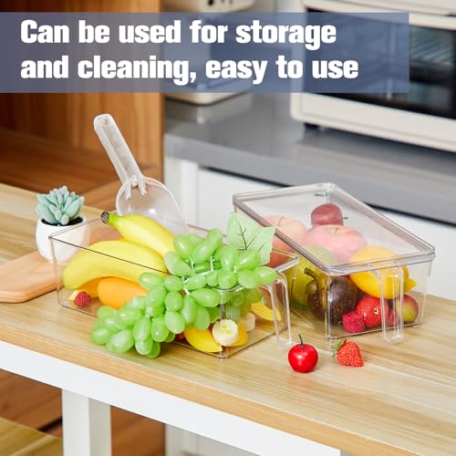 Clear Plastic Ice Storage Bin for Freezer with Lid and Scoop (12.4 Inch)