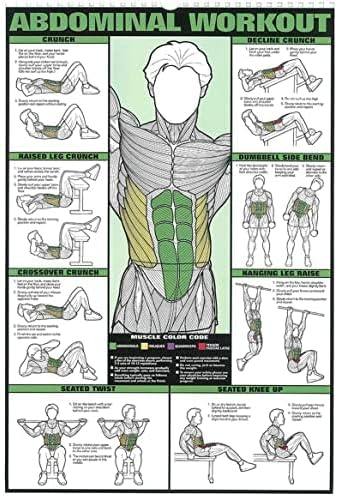Skiennix Workout Chart Posters - 6PCS Motivational Gym Decor for Home | Fitness Exercise Guides