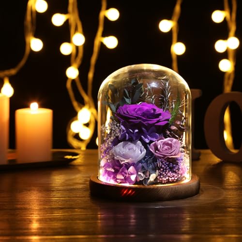 Preserved Purple Rose in Glass Dome with LED Lights - Eternal Flower Gift