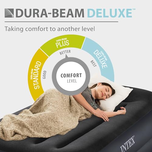 Twin Raised Air Mattress with Built-in Electric Pump & Pillow