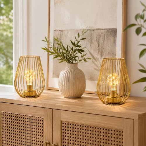 TRIROCKS Gold Metal Cordless Table Lamp Set of 2 - Cage-Shaped Battery Operated Fairy Lights for Indoor & Outdoor Decor