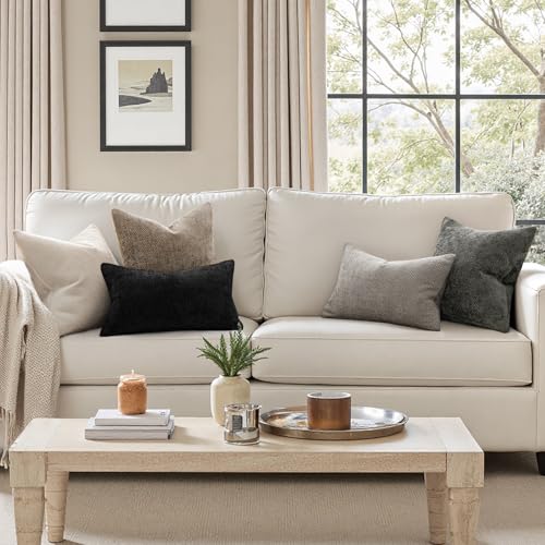 MIULEE Soft Chenille Throw Pillow Covers 18x18 Inch - 2 Pack, Beige