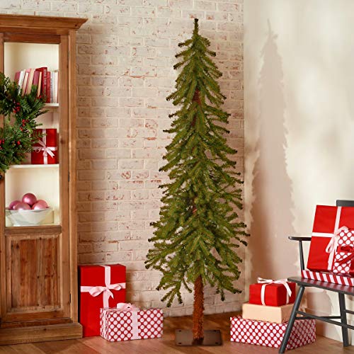 5ft Unlit Hickory Cedar Artificial Christmas Tree with Metal Base (371 Tips)