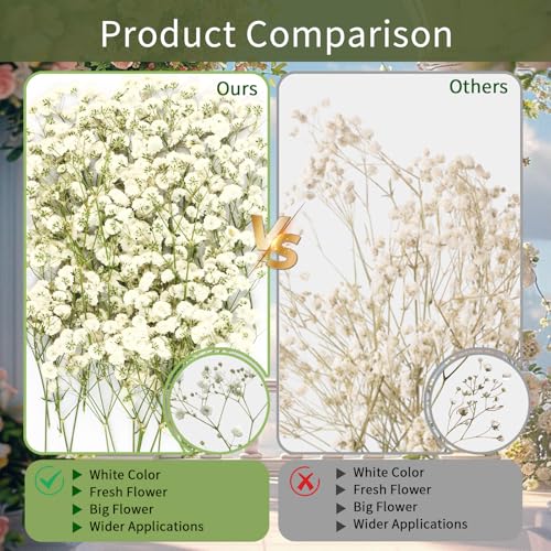 50pcs Mini Dried Pressed White Baby's Breath Flowers for Resin Crafts