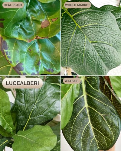 6FT Artificial Fiddle Leaf Fig Tree in White Planter - Faux Ficus Lyrata for Indoor Decor