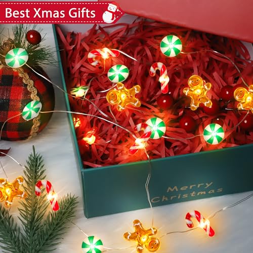 Mosoan Timer Christmas Lights 10 ft 30 LED Battery-Operated Candy Cane Gingerbread Snowflake String Lights (Style 1)