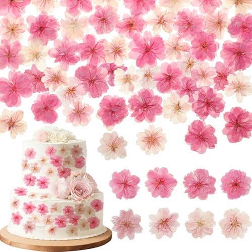 96 Pcs Natural Pressed Dried Flowers for Resin Art, Candle Making, and Decor