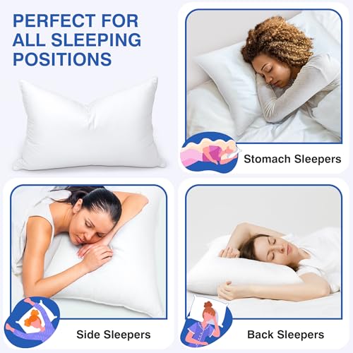 Queen Size Feather Pillows Set of 2 - Soft Goose Down Support