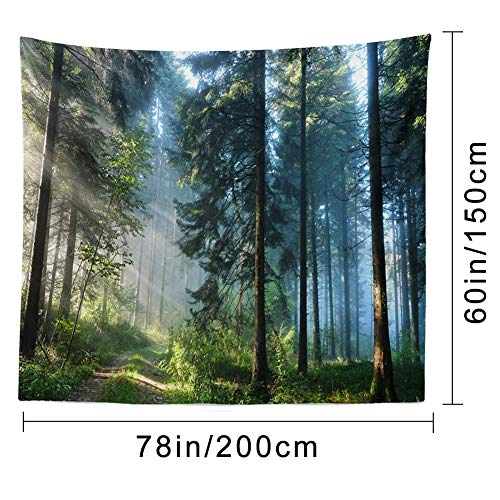 Morning Forest Landscape Tapestry - 3D Printed Wall Hanging Decor (78x60 in)