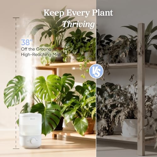 Levoit Top Fill Humidifier 2.5L Cool Mist for Bedroom and Nursery