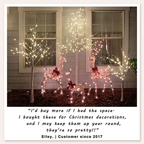 2 Pack 4ft Lighted Birch Tree with 48 LED Warm White Lights - Indoor/Outdoor Decor (4FT*2) SPIRIT STAR