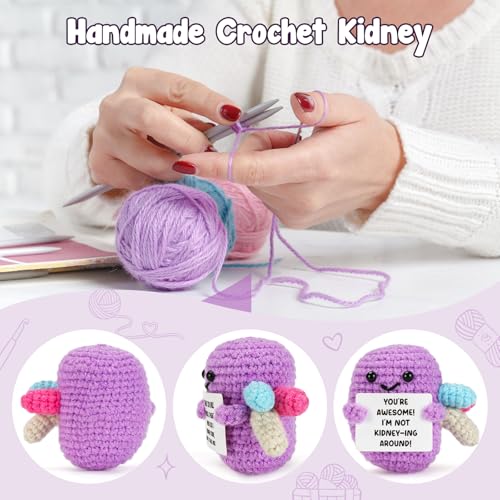 Handmade Crochet Kidney Plushie with You’re Awesome Sign Nurse Gift