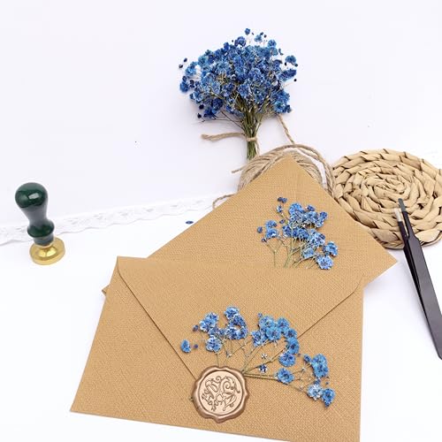 30 PCS Sapphire Blue Dried Pressed Baby's Breath Flowers with Tweezers