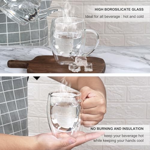 FrutPunch Double Walled Glass Coffee Mugs Set of 2, 12 oz - Heat-Resistant Borosilicate