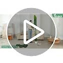 6ft Artificial Bird of Paradise Plant - Lifelike Faux Indoor Decor