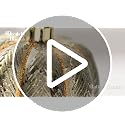 DecorbyHannah 21ct Gold Orange Fall Ornaments Set – Autumn Harvest Christmas Tree Decoration (Large / Autumn Glow)