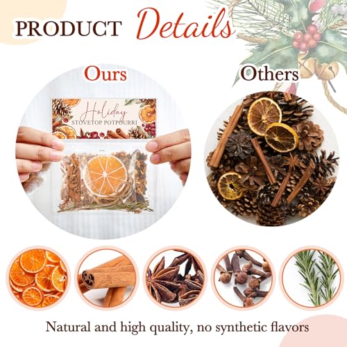 6 Pack Holiday Simmer Pot Kit - Natural Christmas Potpourri Gift Set