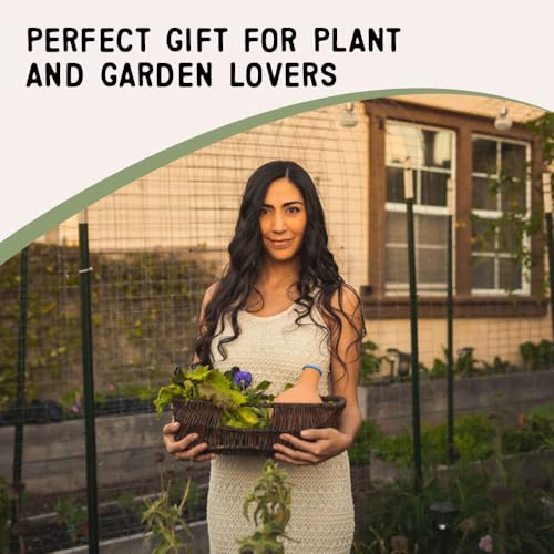 Small Terracotta Olla Self-Watering Pot for Garden Beds & Grow Bags