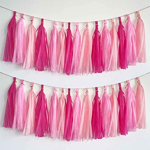 DIY Tissue Paper Tassel Garland Kit - 15 Pieces, Hot & Light Pink