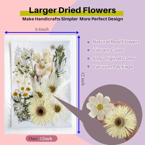 Natural Pressed Dried Flowers for Resin Art, Jewelry Making, and Crafts