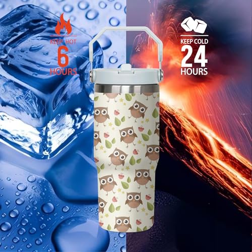 30oz Owl Tumbler with Handle and Flip Straw – Stainless Steel Insulated Cup, Gift for Women
