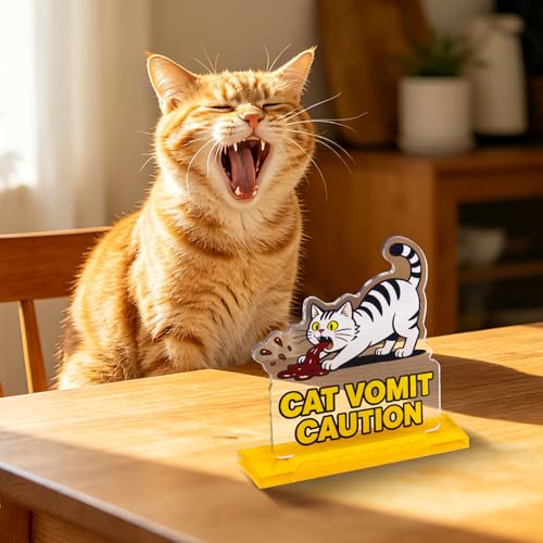 JAPDNK Acrylic Cat Desk Decor - Funny Cat Gifts for Cat Lovers