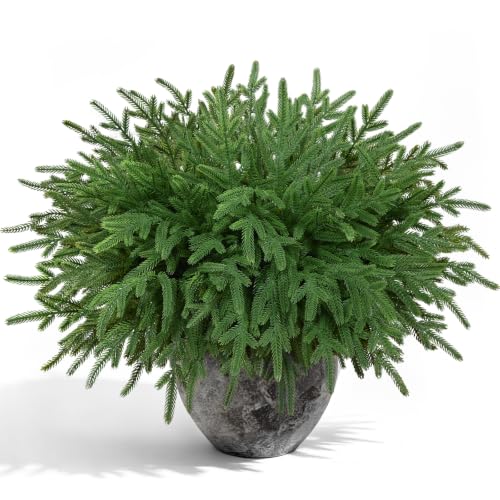 20 Pcs 18" Lifelike Touch Artificial Norfolk Pine Stems for Vase DIY