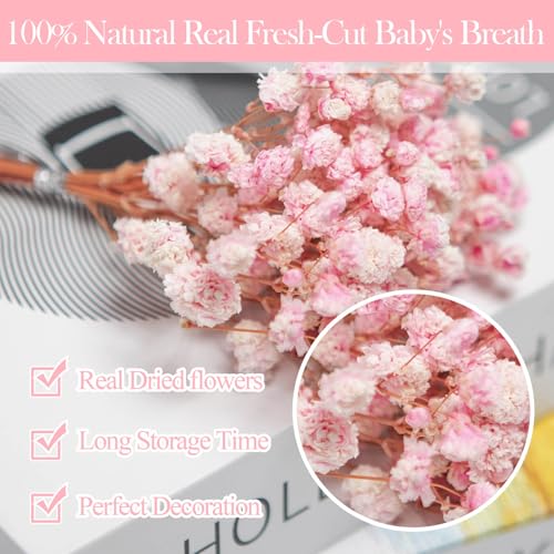 Mini Pink Dried Baby's Breath Flowers, 6-Inch Preserved Gypsophila (70 Stems)