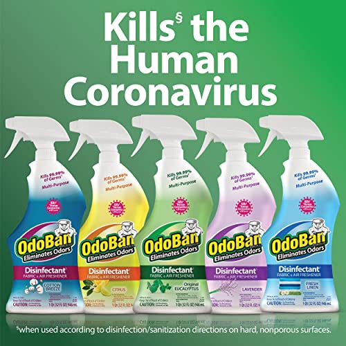 Disinfectant Spray and Odor Eliminator - 32 oz Eucalyptus Scent