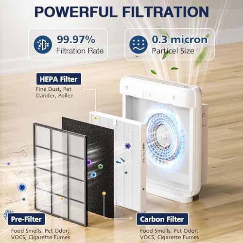 Air Purifier Replacement Filter Set 2 HEPA and 6 Carbon Filters