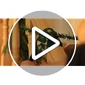 Purple Star 8 Pcs Green Railing Protection Garland Ties for Banister - Adjustable Non-Slip Garland Hangers