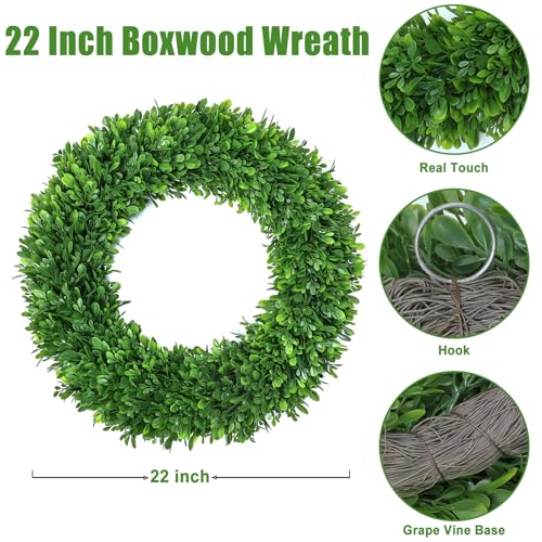 22-Inch Artificial Boxwood Wreath for Front Door - All Season Greenery