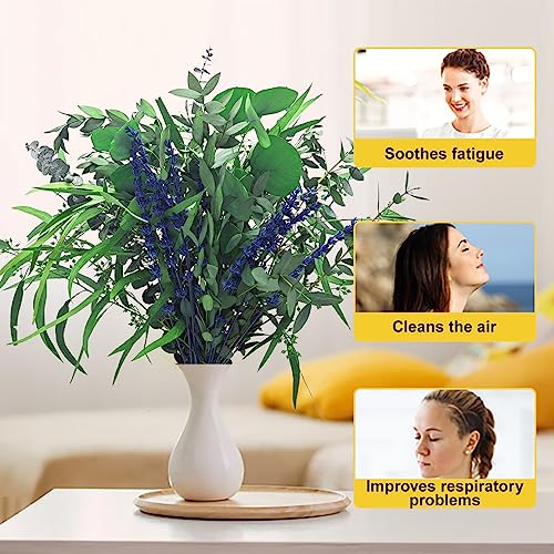 Natural Preserved Eucalyptus & Lavender Shower Bundle - 20 Pieces