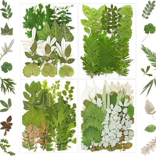 84 Pcs Natural Pressed Dried Leaves & Flowers for Resin Crafts & DIY