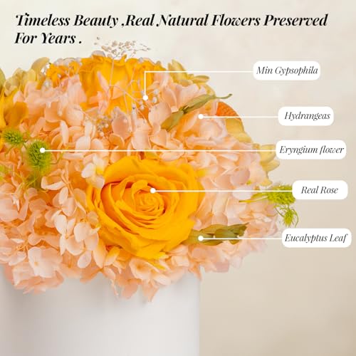ROSEROSE Preserved Champagne Flowers Bouquet Small Gift Box for Women