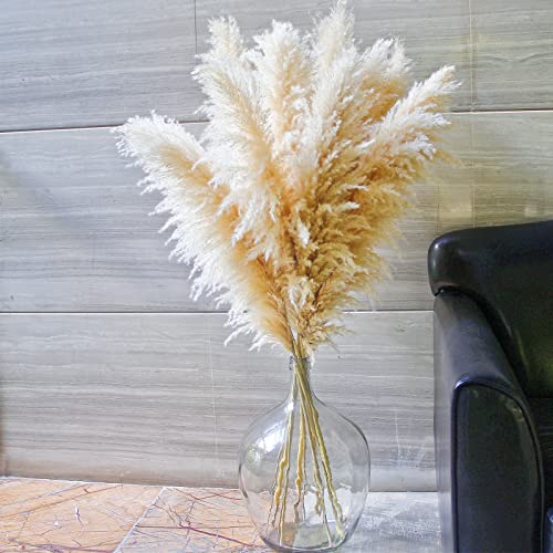 46-Inch Tall Dried Pampas Grass Decor - 10 Stems Fluffy Boho Floral Bouquet