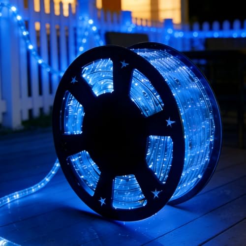 100ft Blue LED Rope Lights, IP65 Waterproof Outdoor Decorative Lighting