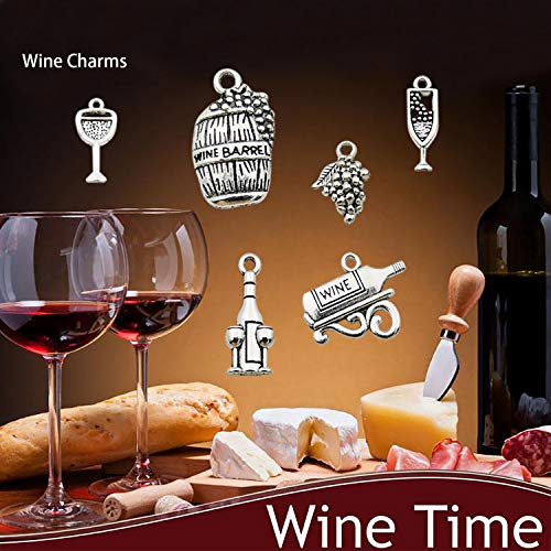 WOCRAFT Wine Charms Set for Wine Tasting Party - 25mm Stainless Steel Rings, 50 Sets, Antique Silver, Includes 17 Styles