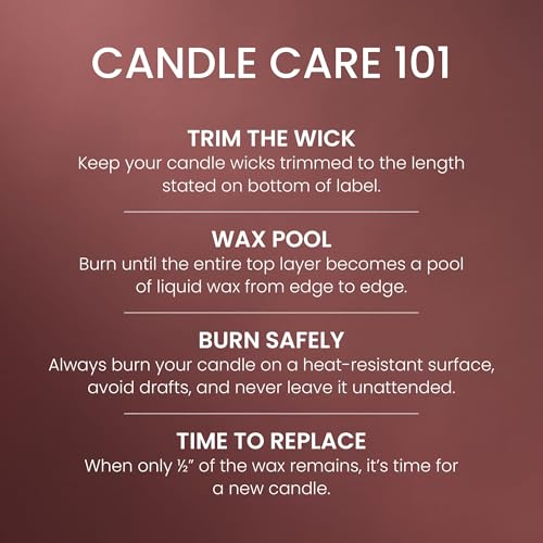 Yankee Candle Large Tumbler Scented Candle with up to 80 Hour Burn Time, Premium Plant Wax Blend for Consistent Burn, 20 oz Tumbler Candle with Room Filling Fragrance, Ciderhouse