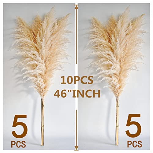 46-Inch Tall Dried Pampas Grass Decor - 10 Stems Fluffy Boho Floral Bouquet