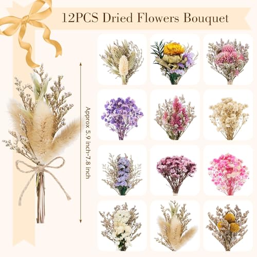 Mini Dried Flowers Bouquet Set - Natural Wildflowers for Vases & DIY Crafts