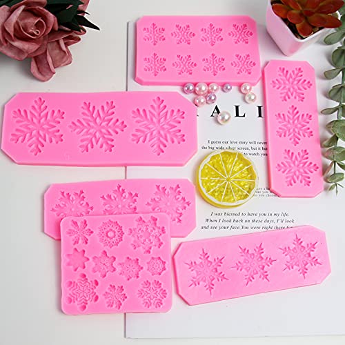 Rainmae Christmas 6 Pcs Snowflake Cake Mold Set - 3D Fondant & Chocolate Decorations, Winter Frozen Party Supplies, Variation 1
