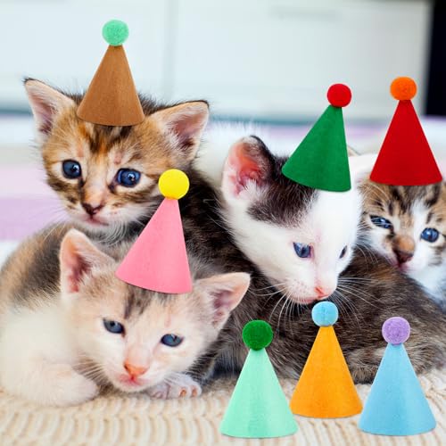 10 Pcs Colorful Mini Paper Cone Party Hats for Stuffed Animals and Pets