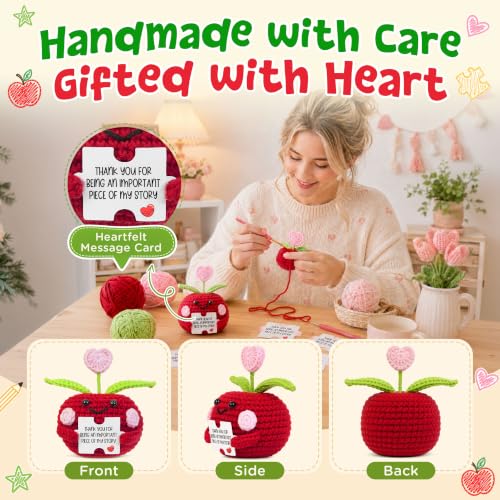 Handmade Crochet Apple Teacher Gift - Emotional Support Desk Decor