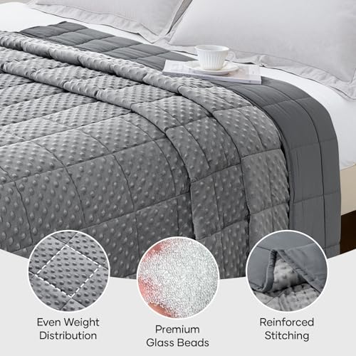 20lb Weighted Blanket for Adults, 60x80in Reversible Cooling Minky Throw