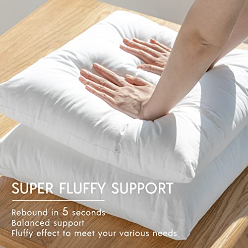 Phantoscope 18x18 Waterproof Outdoor Throw Pillow Inserts - 2 Pack